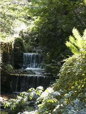 Ein kleiner Wasserfall. 