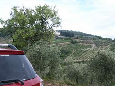 Trauben für den Chianti. 