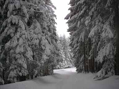 Traumhafte Winterlandschaft. 